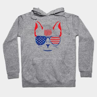 USA Cat Hoodie